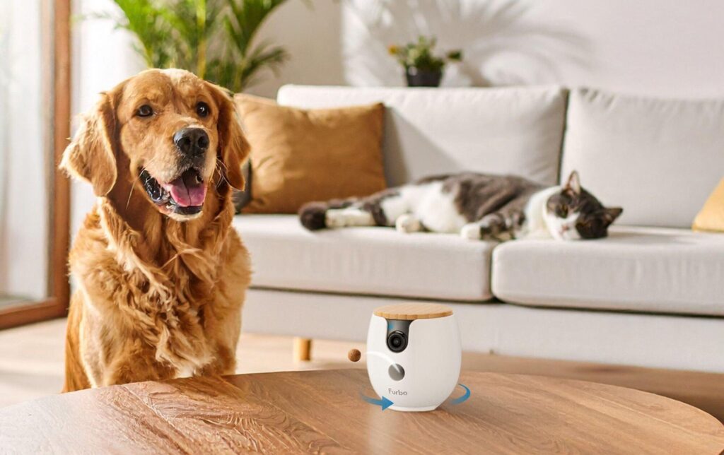 Furbo Mini Pet Camera Review: The Smartest Way to Stay Connected to Your Pet
