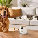 Furbo Mini Pet Camera Review: The Smartest Way to Stay Connected to Your Pet